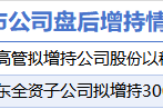 A股上市公司增持潮：背后动机与市场解读
